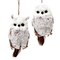 KSA Pack of 12 Brown and White Hanging Owl Christmas Ornaments 6"
